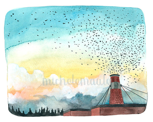 8x10 Print - Chapman Swifts at Dusk