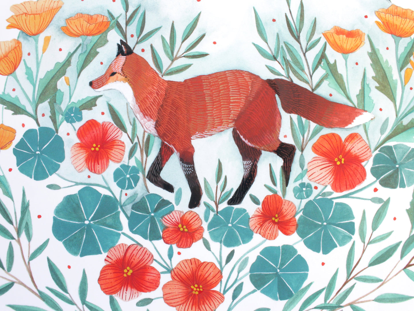 8x10 Print - Red Fox with Nasturtiums