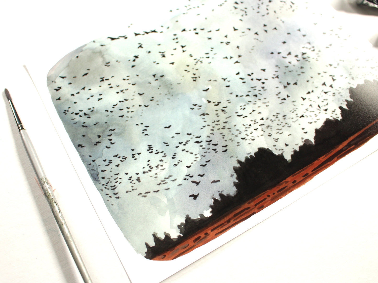 8x10 Print - Sauvie Island Geese