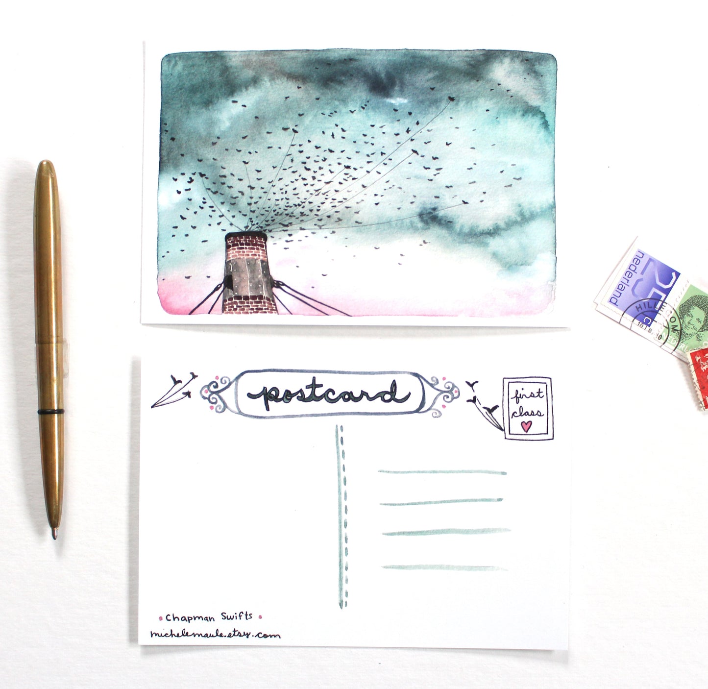 Postcards - Chapman Swifts