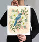 Print of a scrub jay surrounded by dogwood blossoms
