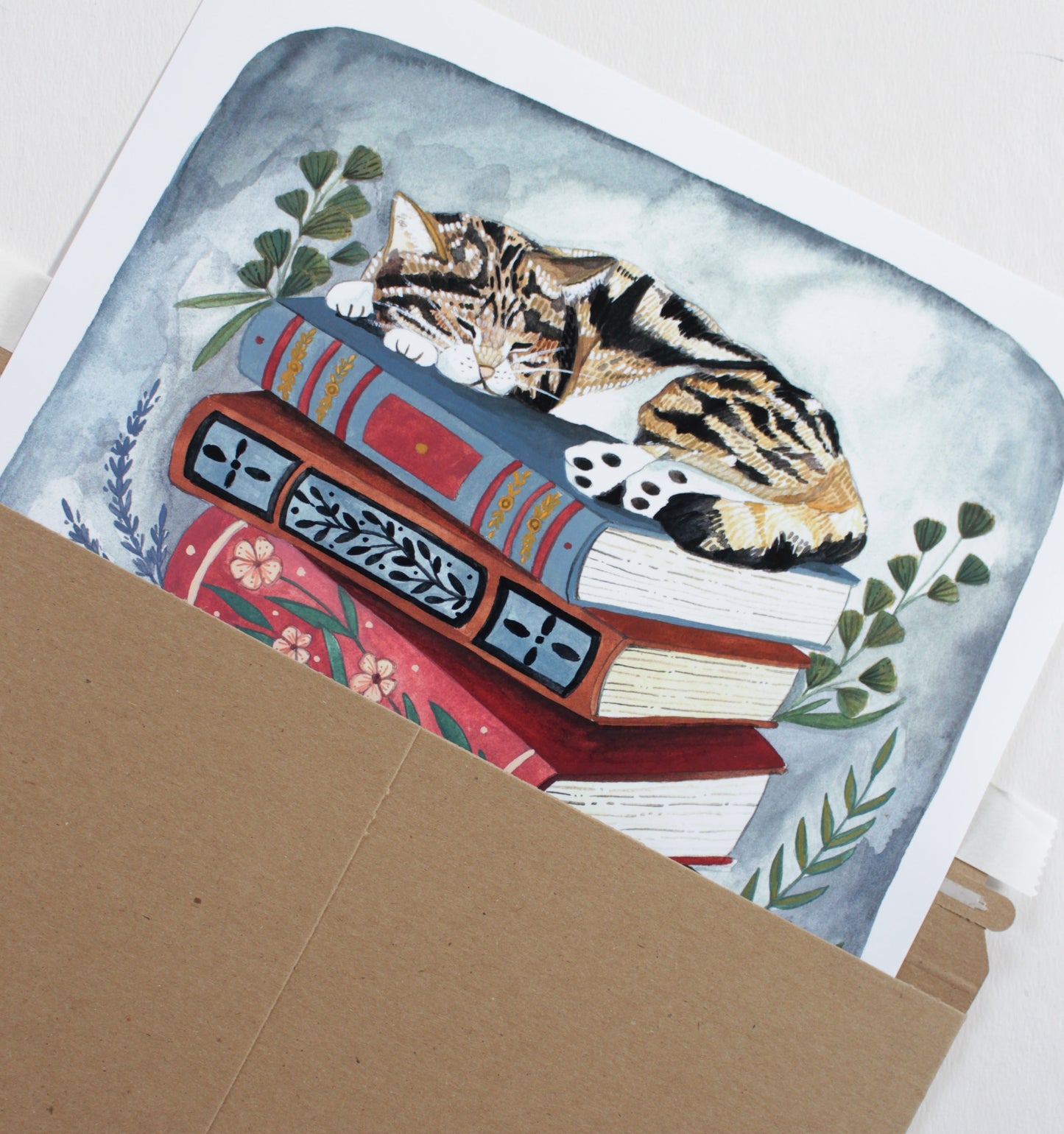 11x14 Print - Cat Napping on Books