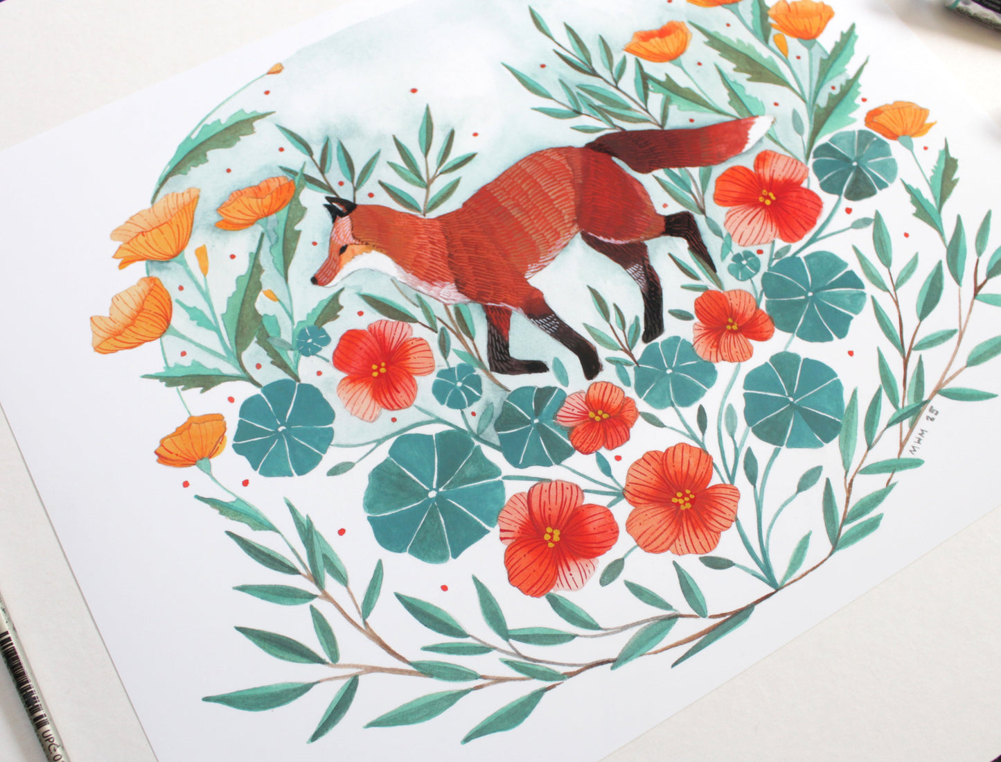 11x14 Print - Red Fox with California Poppies and Nasturtium