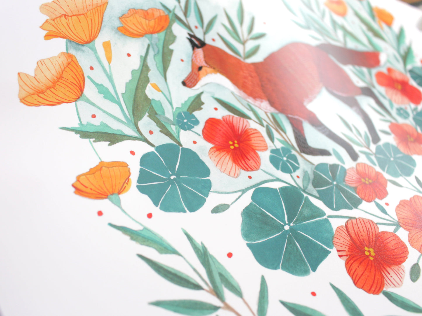 11x14 Print - Red Fox with California Poppies and Nasturtium