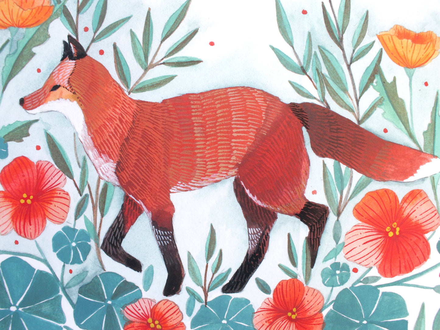 11x14 Print - Red Fox with California Poppies and Nasturtium