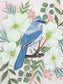 Original Painting - Spring Scrub Jay with Blossoms