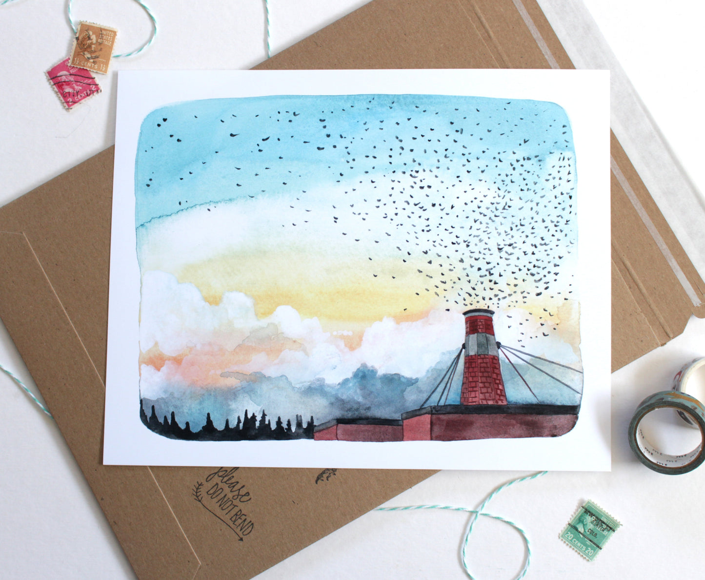 8x10 Print - Chapman Swifts at Dusk