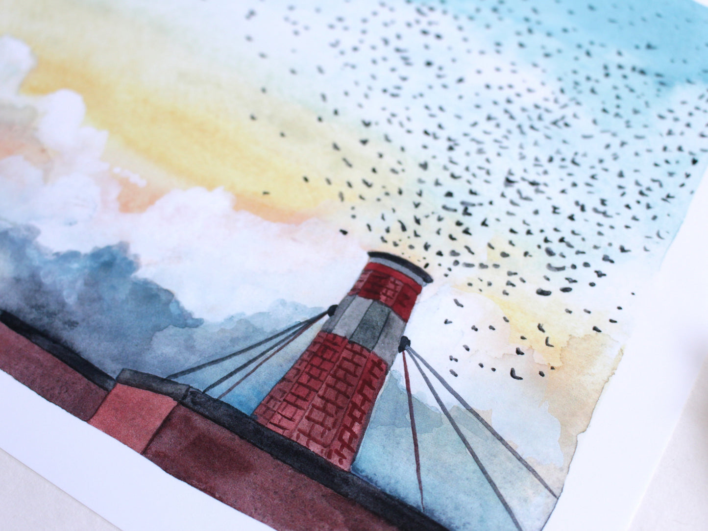 8x10 Print - Chapman Swifts at Dusk