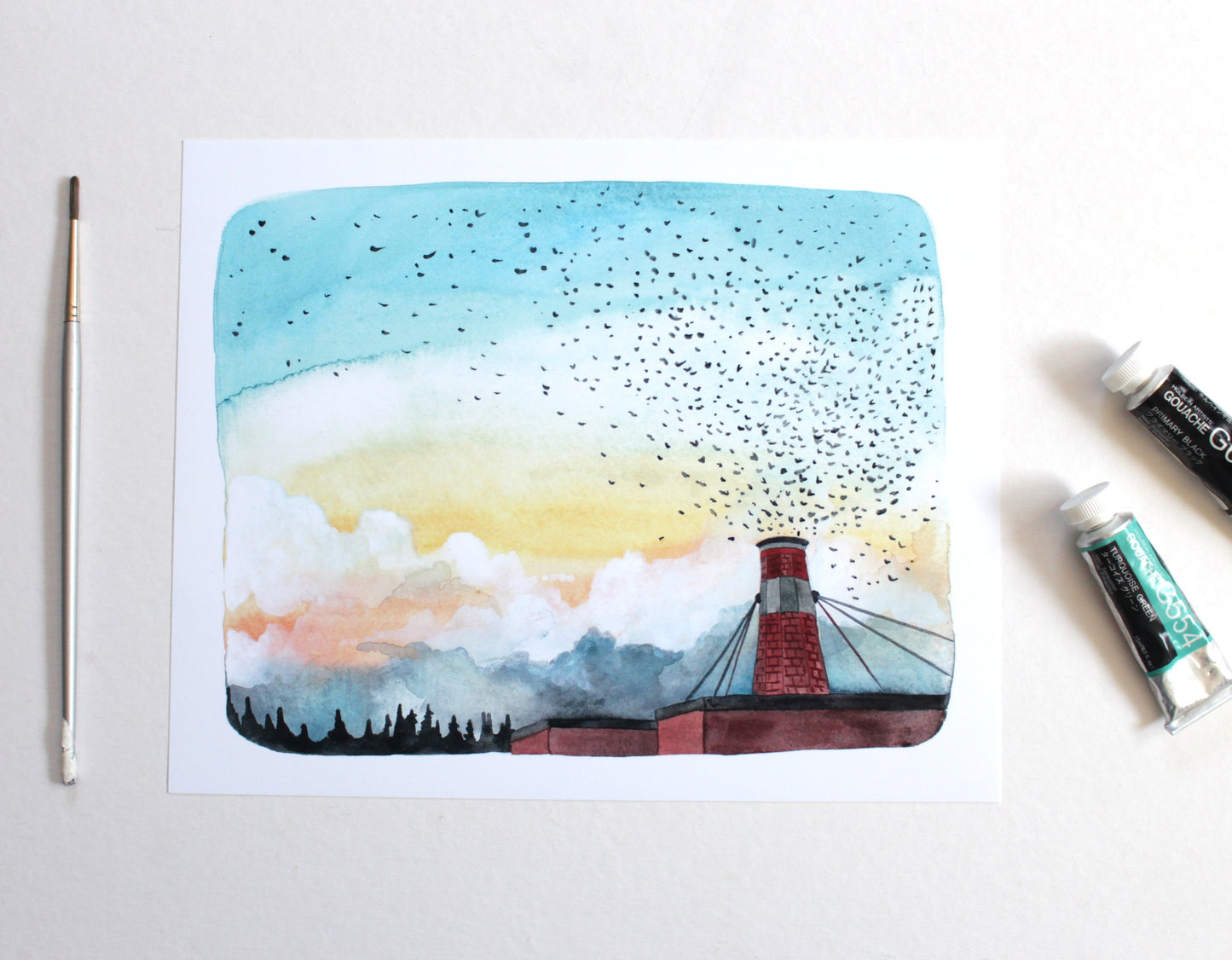 8x10 Print - Chapman Swifts at Dusk